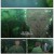 전국요호 세상을 바로잡는 남매 편.E03.240125.720p.H264-F1RST