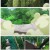 치유마법의 잘못된 사용법.E03.240126.720p.H264-F1RST