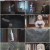 원치 않는 불사의 모험가.E09.240304.720p-NEXT