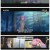 시광대리인2기.E12.240329.720p-F1RST