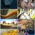 [WEB-DL 우리말 더빙] 원피스 (ONE PIECE 2009) S29