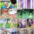 [WEB-DL 우리말 더빙] 원피스 (ONE PIECE 2009) S31