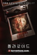 폴라로이드_토렌트