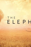 엘리펀트 퀸_The Elephant Queen_2018_ 1080p