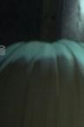 얼터드 카본 리슬리브 ALTERED CARBON RESLEEVED.2020.1080p.KOR.FHDRip.H264.AAC-RTM