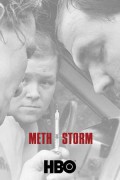 Meth Storm Meth Storm (2017) [1080p] [WEBRip] [5.1]