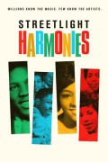 Streetlight Harmonies Streetlight.Harmonies.2020.1080p.WEBRip.x265-RARBG