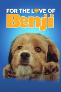 벤지 2 For the Love of Benji For.the.Love.of.Benji.1977.1080p.WEBRip.x265-RARBG
