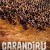 카란디루 Carandiru Carandiru.2003.PORTUGUESE.1080p.WEBRip.x264-VXT
