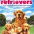 The Retrievers The.Retrievers.2001.1080p.WEBRip.x265-RARBG