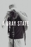 회색의 진실 A Gray State A.Gray.State.2017.1080p.WEBRip.x265-RARBG
