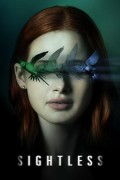어둠을 보았다 Sightless Sightless.2020.1080p.NF.WEBRip.DDP5.1.x264-MRCS