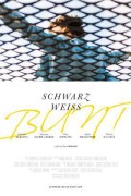 Schwarz, Weiss, Bunt Schwarz.Weiss.Bunt.2020.GERMAN.1080p.WEBRip.x264-VXT