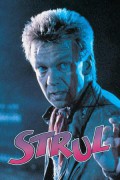 미스터 트러블 Framed Strul.1988.SWEDISH.1080p.WEBRip.x265-VXT