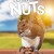 Going Nuts: Tales from the Squirrel World Going Nuts Tales From The Squirrel World (2019) [720p] [WEBRip]