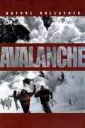 Nature Unleashed: Avalanche Nature.Unleashed.Avalanche.2004.1080p.AMZN.WEBRip.DDP2.0.x264-PLiSSKEN
