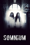 Somnium Somnium.2018.1080p.WEBRip.x265-RARBG