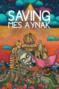 세이빙 메스 아이낙 Saving Mes Aynak Saving.Mes.Aynak.2014.1080p.AMZN.WEBRip.DDP2.0.x264-PAAI