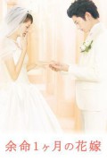 April Bride April.Bride.2009.JAPANESE.1080p.NF.WEBRip.DDP5.1.x264-RSG