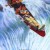 산악 캠프 White Water Summer White.Water.Summer.1987.720p.AMZN.WEBRip.DDP2.0.x264-MRCS