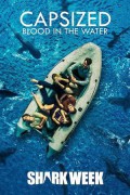 캡사이즈드: 블러드 인 더 워터 Capsized: Blood in the Water Capsized.Blood.In.The.Water.2019.1080p.WEBRip.x265-RARBG