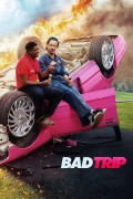 배드 트립 Bad Trip Bad.Trip.2020.1080p.WEB.H264-NAISU