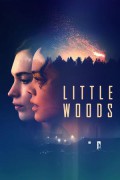 두 여자 Little Woods Little Woods (2018) [1080p] [WEBRip] [5.1]