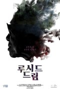 루시드 드림 Lucid Dreams Lucid.Dreams.2018.CHINESE.1080p.BluRay.x264.DD5.1-HANDJOB