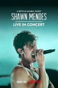 숀 멘데스: 라이브 인 콘서트 Shawn Mendes: Live in Concert Shawn.Mendes.Live.in.Concert.2020.1080p.WEB.x264-LiQUiD