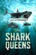 샤크 퀸즈 Shark.Queens.2022.1080p.DSNP.WEB-DL.H264.DDP5.1