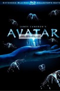 아바타 [확장판] Avatar 2009 Extended CE (1080p x265 10bit Tigole)