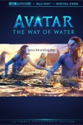 아바타: 물의 길 Avatar - The Way of Water (2022) (2160p BluRay x265 10bit HDR Tigole)