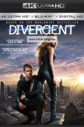 다이버전트 Divergent (2014) (2160p BluRay x265 10bit HDR Tigole)