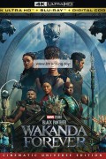 블랙 팬서: 와칸다 포에버 Black Panther: Wakanda Forever,2022.2160p.UHD.BluRay.x264