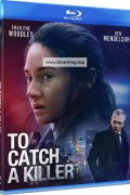 투 캐치 어 킬러 To Catch a Killer (2023) (1080p BluRay x265 10bit Tigole)