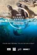 행성 지구: 축하 Planet.Earth.A.Celebration.2020.1080p.HDTV.H264-DARKFLiX