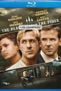 플레이스 비욘드 더 파인즈 The Place Beyond the Pines (2012) (1080p BluRay x265 afm72)