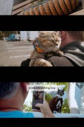 캣 대디 Cat Daddies,2023.1080p.KORSUB.WEBRip.H264.AAC