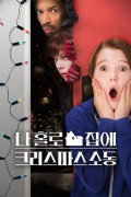 나 홀로 집에 5: 크리스마스 소동 Home Alone The Holiday Heist 2012 BluRay 1080p DTS AC3 x264-MgB