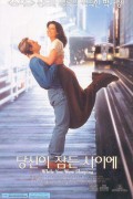 당신이 잠든 사이에 (우리말 더빙) While You Were Sleeping,1995.1080p.KORDUB.WEBRip.H264.AAC