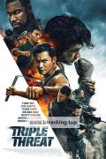 트리플 스렛 Triple Threat (2019) [1080p] [BluRay] [YTS.MX]