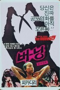 버닝 The.Burning.1981.Remastered.1080p.BluRay.x264.2.0-RiPRG
