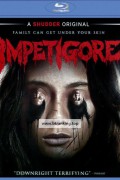 임페티고어 Impetigore.2019.IDN.1080p.BluRay.REMUX.AVC.TrueHD.5.1-Asmo
