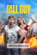 스턴트맨 2024.2160p.HDR10Plus.DV.WEBRip.6CH.x265.HEVC-PSA