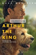 아서 Arthur the King (2024) (1080p BluRay x265 10bit Tigole)