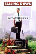 폴링 다운 1993.1080p.10bit.BluRay.6CH.x265.HEVC-PSA