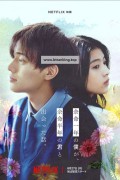 봄이 사라진 세계 ,2024.1080p.KORSUB.WEBRip.H264.AAC
