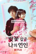 벚꽃같은 나의 연인 Sakura.no.Youna.Boku.no.Koibito.2022.1080p.NF.WEB-DL.DDP5.1.Atmos.H.264-MagicStar