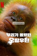 우리가 몰랐던 오랑우탄 Secretives.of.Orangutans.2024.NF.WEB-DL.1080p.H.264.DDP5.1.Atmos
