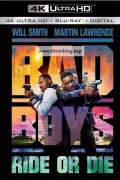 나쁜 녀석들: 라이드 오어 다이 Bad.Boys.Ride.Or.Die.2024.1080p.BluRay.ENGATINO.ITALIAN.HINDI.CHINESE.DTS-HD.Master.H264-BEN.THE.MEN